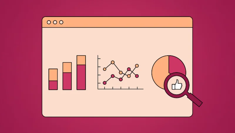 Reports and Analytics